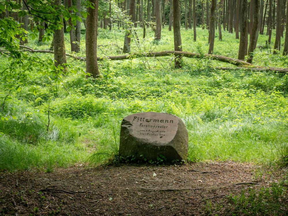 Kamień Pittermanna