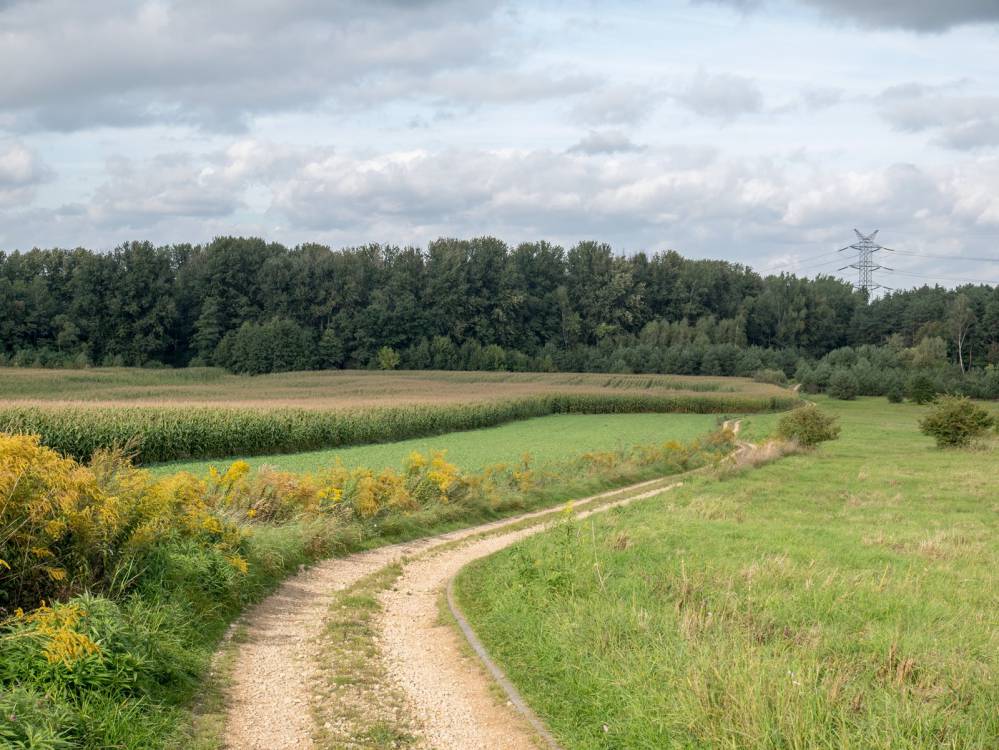 Szlak Zamkowy