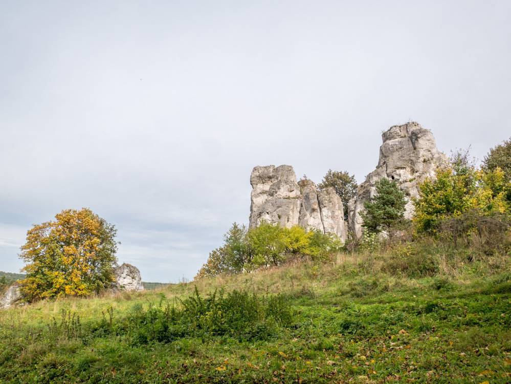 Szlak Zamk&oacute;w
